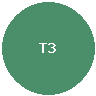 凯尔特人